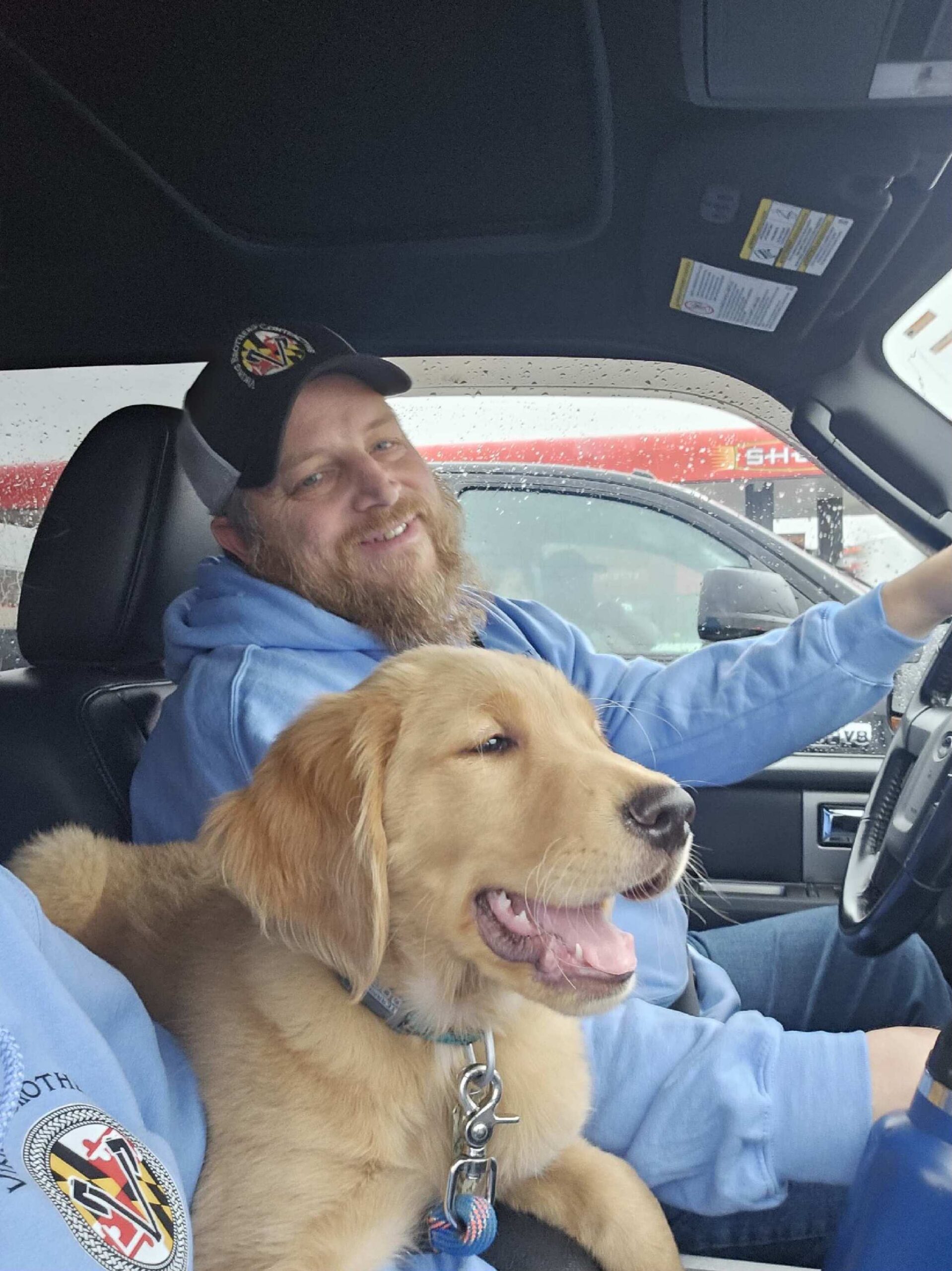 A bearded man wearing a cap and blue hoodie is sitting in a car with a happy golden retriever puppy on his lap.